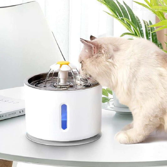 Cat Water Fountain